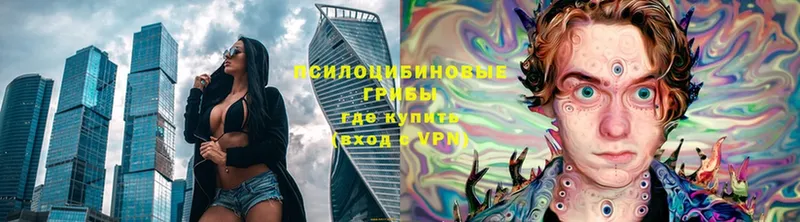 Псилоцибиновые грибы Magic Shrooms  Зеленодольск 